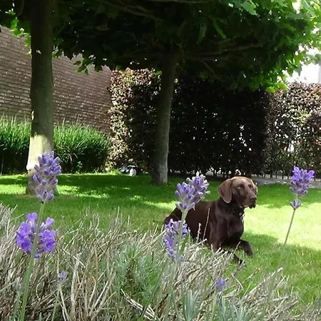 Gardenhouse With Private Jacuzzi & Private Sauna * Teteringen