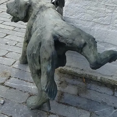 Gardenhouse With Private Jacuzzi & Private Sauna בקתה Teteringen