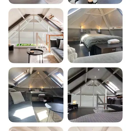 Chalet Gardenhouse With Private Jacuzzi & Private Sauna *
