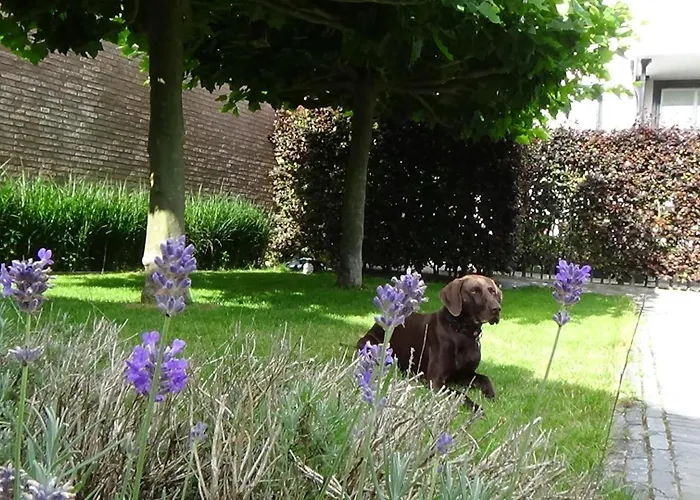 Gardenhouse With Private Jacuzzi & Private Sauna * Teteringen