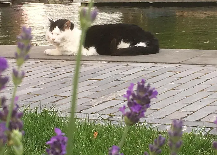 Gardenhouse With Private Jacuzzi & Private Sauna Teteringen